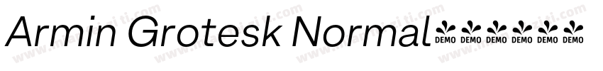 Armin Grotesk Normal字体转换